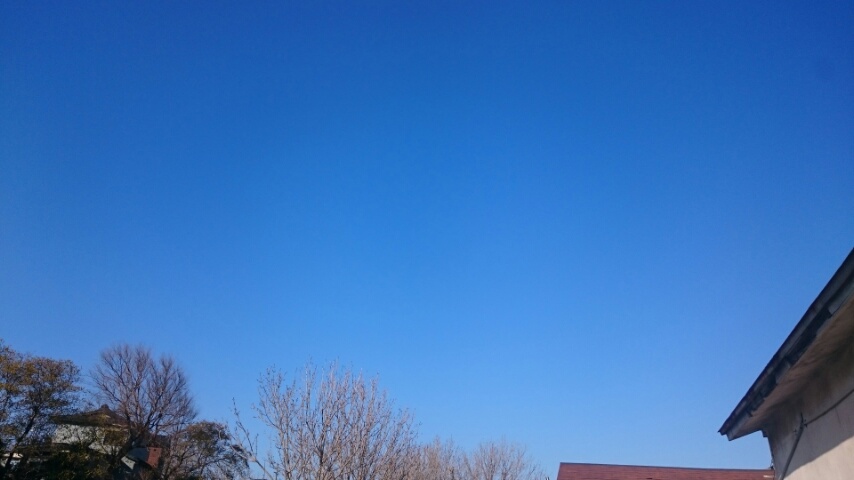 d0149105_7282673.jpg