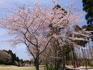 d0091909_1618289.jpg
