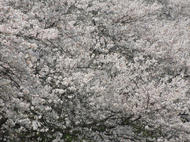 f0297809_21435769.jpg