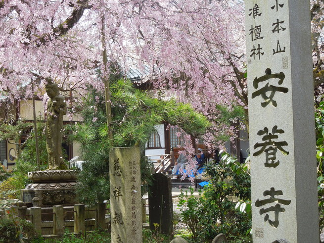 f0297809_2149142.jpg