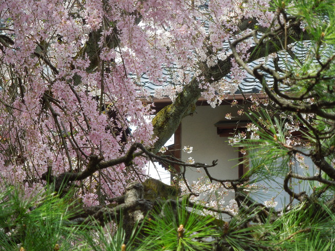 f0297809_21513927.jpg