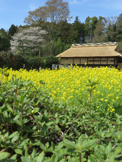 d0160611_12454102.jpg