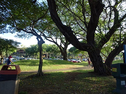 f0352712_14411254.jpg