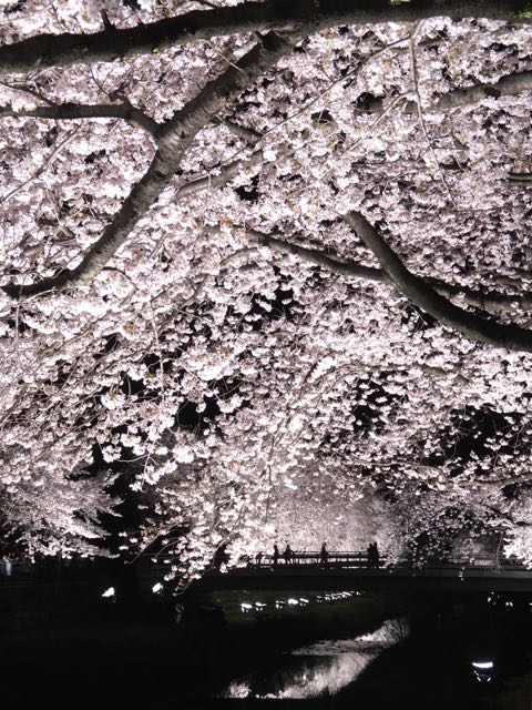b0309813_3204094.jpg
