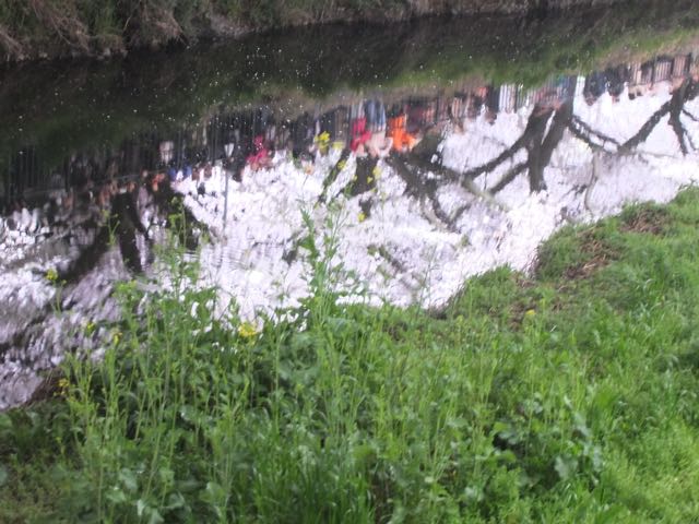 b0309813_3225758.jpg