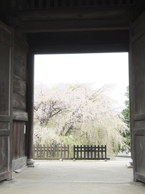 b0309813_3413569.jpg