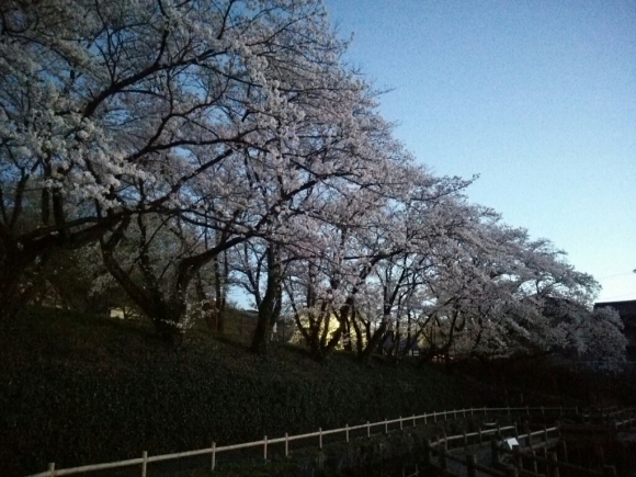 f0046614_13563306.jpg