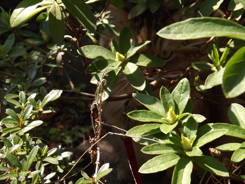 c0158916_211598.jpg