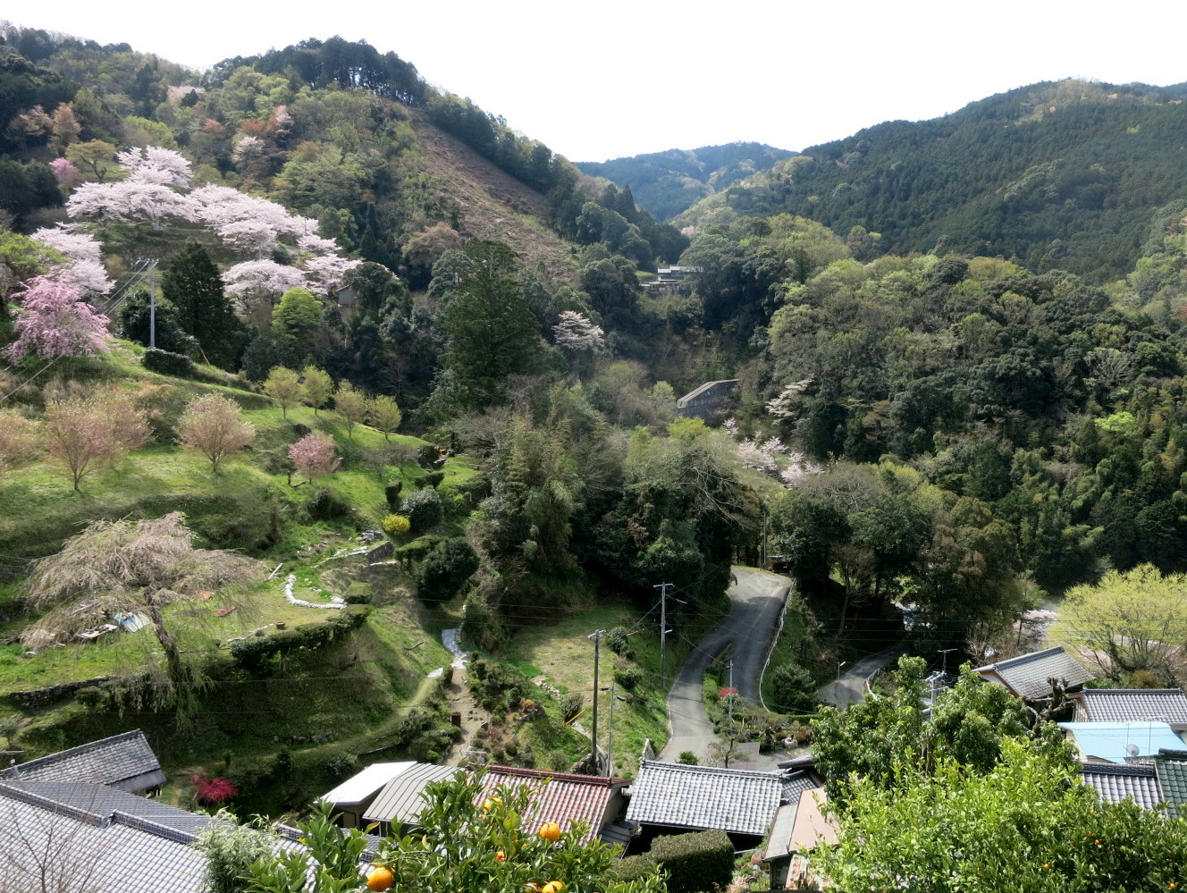 b0139518_229773.jpg