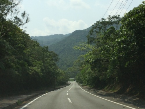 e0049318_23392427.jpg