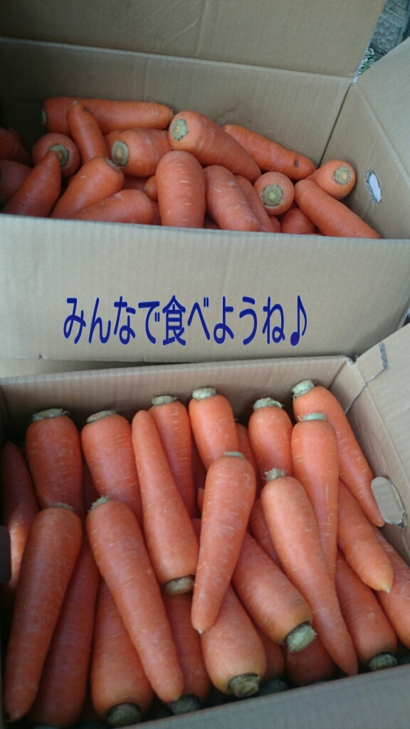 b0187620_20482767.jpg