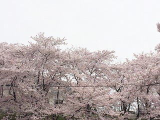 b0198721_1736439.jpg
