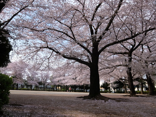 f0128821_21454050.jpg