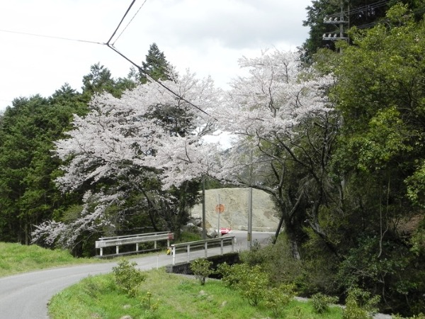 f0213825_10201194.jpg