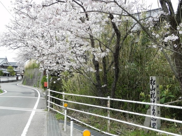 f0213825_10295290.jpg