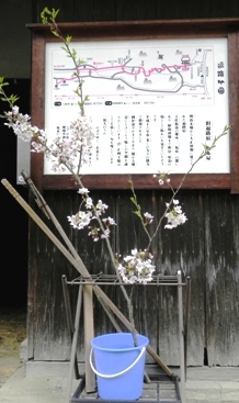 f0213825_1128924.jpg
