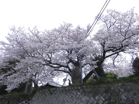 f0213825_8214022.jpg