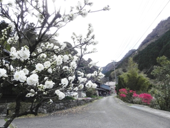 f0213825_8261832.jpg
