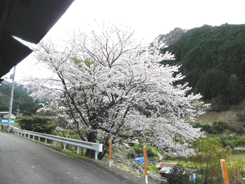 f0213825_8425772.jpg