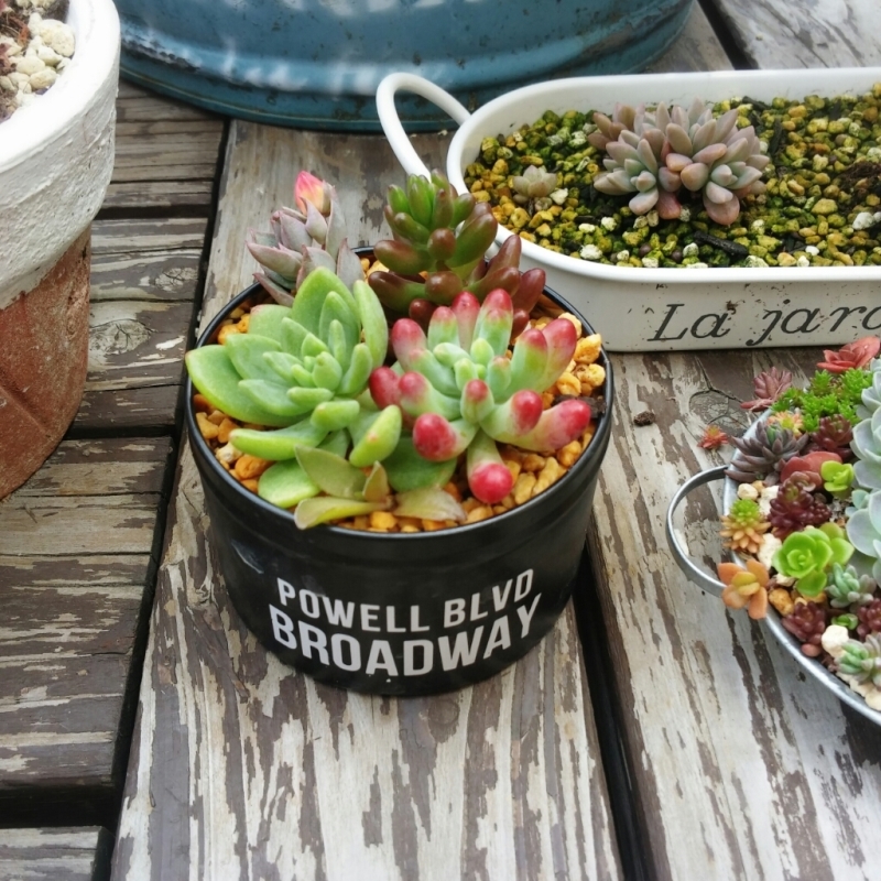 f0277327_23221939.jpg