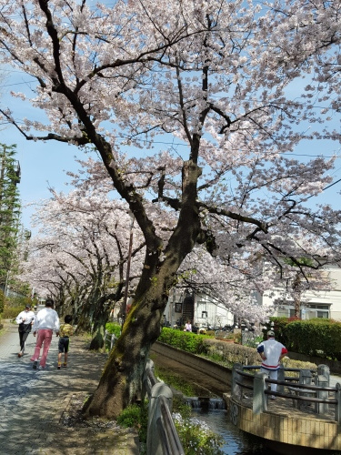 e0016828_13053068.jpg