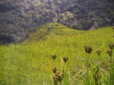 c0311729_20024738.gif