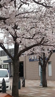 a0347533_19423183.jpg