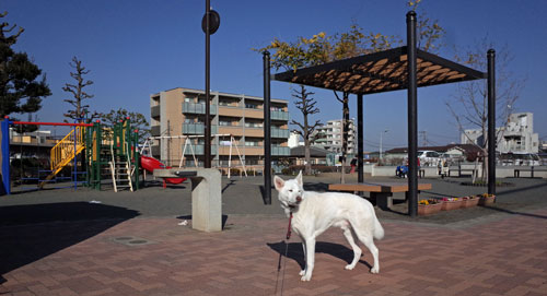 a0117039_21554070.jpg