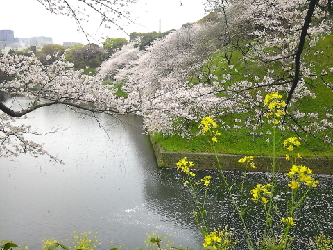 d0349141_00181669.jpg