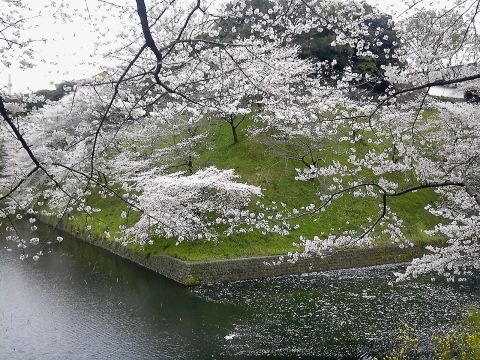 d0349141_00182189.jpg