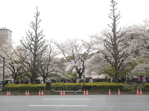 d0349141_00185274.jpg