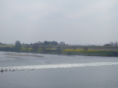 b0080342_07352557.jpg