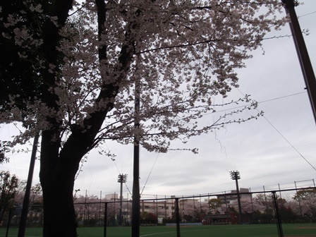 b0080342_09502699.jpg