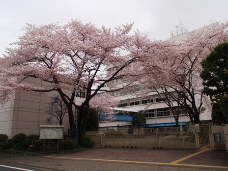 b0080342_09505570.jpg