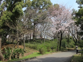 c0030645_19575197.jpg