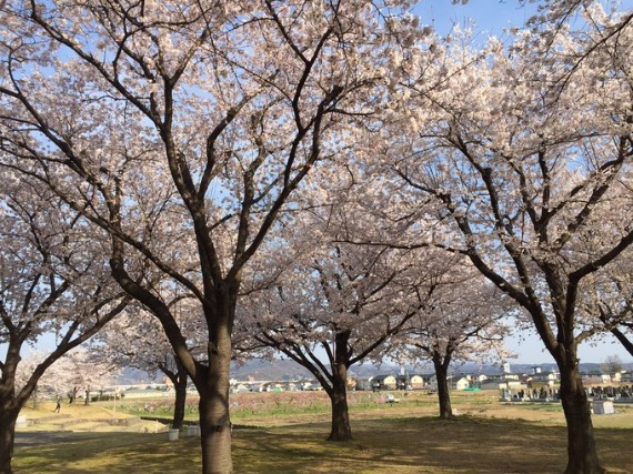 b0249247_2382825.jpg