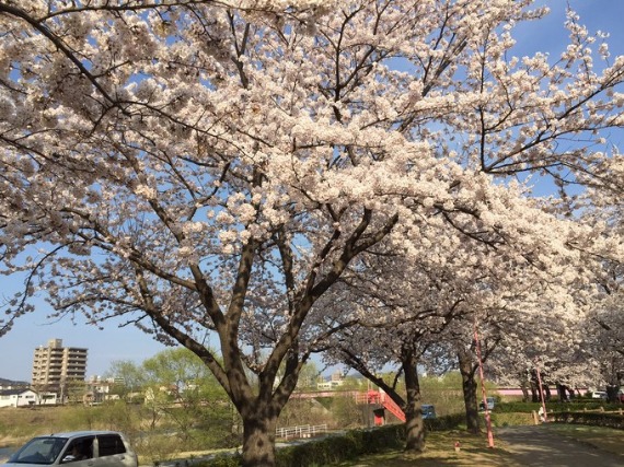 b0249247_238588.jpg