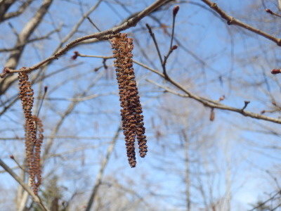 b0126549_20103188.jpg