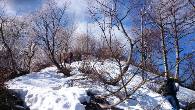 b0148050_21553188.jpg