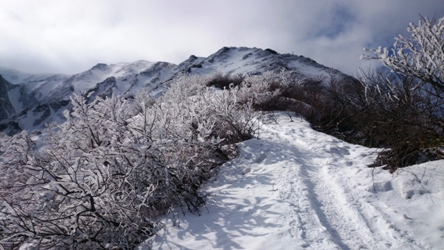 b0148050_21594986.jpg