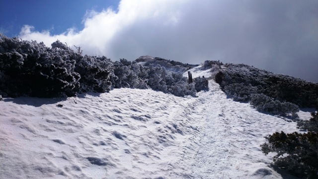 b0148050_22102522.jpg