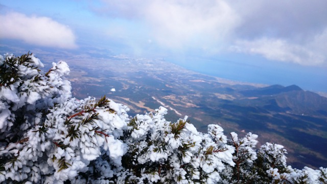 b0148050_227316.jpg