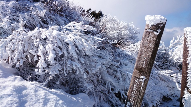 b0148050_2284790.jpg