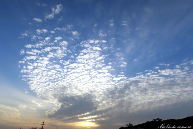 f0351853_04093179.jpg