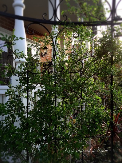 c0369367_08382672.jpg