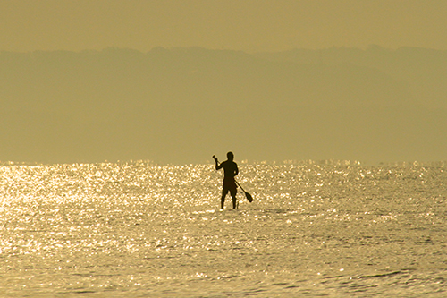 a0157069_1212381.jpg