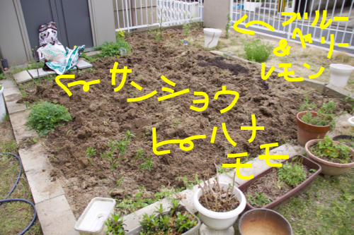 b0286869_133722100.jpg