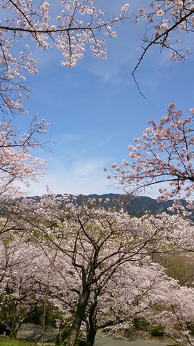b0056172_19423664.jpg
