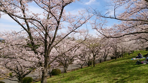 b0056172_19425067.jpg