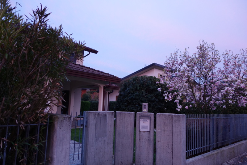 c0216472_12593696.jpg